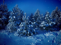 Стихи Ивана Бунина о зиме