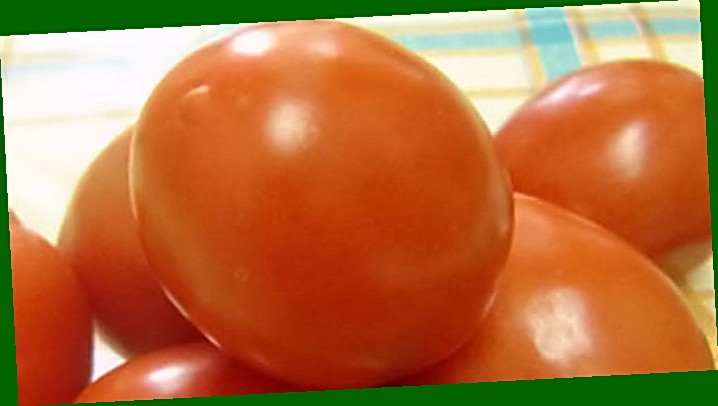 Чем подкормить рассаду помидор чтобы были толстенькие?